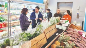 自2026年1月1日起，河内市正式实施多项措施，在集市、便利店、酒店和旅游景区限制使用一次性塑料制品，开启减少塑料垃圾、迈向可持续消费的路线图。