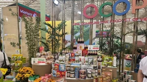 附图。（图片来源：bnews.vn）