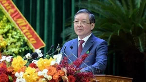 越共中央委员、越南农民协会中央委员会主席梁国团。（图片来源：越通社）