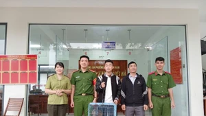 嘉莱省林检部门接收一只珍稀黑冠鳽。（图片来源：越通社）