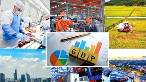 2025年上半年，越南GDP同比增长7.52%，为自2011年以来的最高水平。（图片来源：互联网）