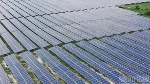 在越南林同省峰富太阳能发电场（Solarcom）安装的太阳能电池板。（文维 摄）