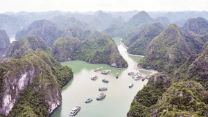 由于没有直达陆路交通，前往越海村的游客通常需乘坐快艇入村。