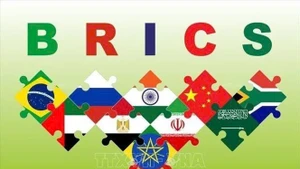 金砖国家国旗。（图片来源：越通社）