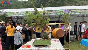 当地政府和农民推销农产品和水果。（图片来源：越南之声）