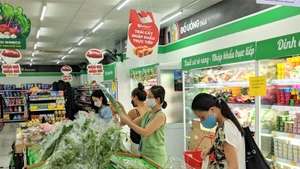 自2027年1月1日起，河内各市场和便利店将不再免费提供难降解塑料袋。（图片来源：vneconomy.vn）