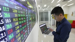 附图。（图片来源：越通社）