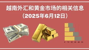 越南外汇和黄金市场的相关信息【图表新闻】