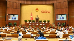 国会代表5月19日在会堂举行讨论会。