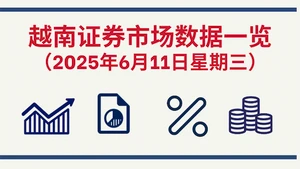 6月11日越南证券市场数据一览 【图表新闻】