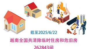 截至2025年6月22日越南全国共清除临时住房和危旧房262843间【图表新闻】