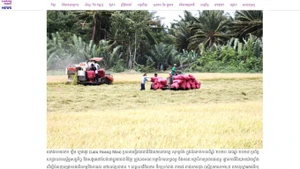 柬埔寨媒体对越南南部高棉族地区焕发新活力给予赞誉。（屏幕截图）