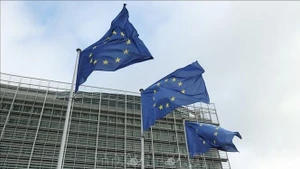 将承诺化为行动