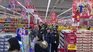 河内超市年货采购气氛热闹非凡【组图】