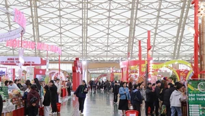 2026年春季博览会。