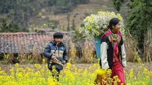 越南春节假期："换换口味"趋势兴起。