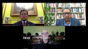 座谈会以线上线下相结合方式举行。（图片来源：越通社）