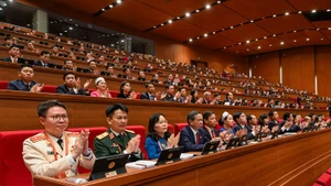 出席越南共产党第十四次全国代表大会开幕式的代表。