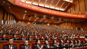 出席越南共产党第十四次全国代表大会的代表。