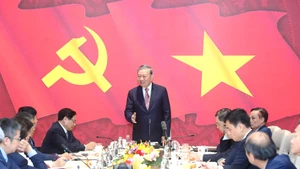 苏林总书记会见出席越共十四大的越南驻外大使和驻外机构首席代表