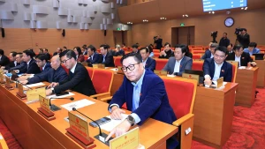 河内市人民议会第31次会议表决通过决议。