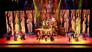 附图：第80号决议：文化引领并塑造民族的可持续发展。