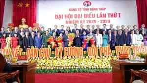 越共同塔省委员会（2025至2030年任期）亮相大会。（图片来源：越通社）