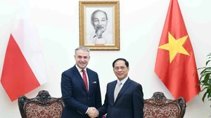 政府副总理裴青山会见波兰副总理克日什托夫·加夫科夫斯基。（图片来源：越通社）