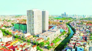 从高处俯瞰海防市的一角。
