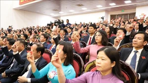 代表们表决通过大会决议草案。(图片来源：越通社）