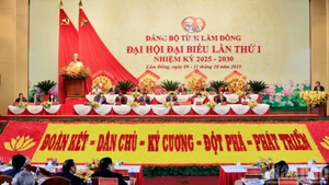 越南共产党林同省第一次代表大会（2025-2030年任期）于10月11日圆满闭幕。（梅文宝 摄）