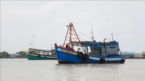 越南海警第二区强化执法与宣传 严厉打击IUU捕捞。(图片来源:越通社)