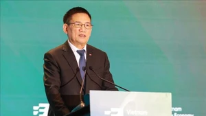 越南政府副总理胡德福在会上致辞。（图片来源：越通社）