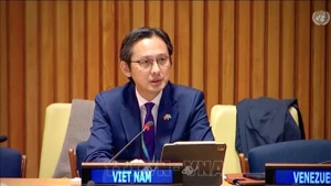 越南常驻联合国代表团团长杜雄越大使出席专题全体讨论。（图片来源：越通社）