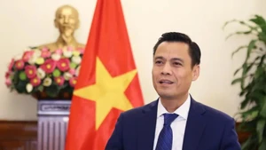 越南外交部副部长邓黄江。