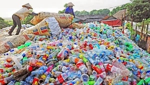 附图。（图片来源：因特网）