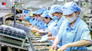 附图。(怀南 摄)