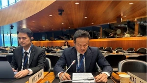越南常驻WTO代表团团长梅潘勇大使在会上发表讲话。（图片来源：越通社）