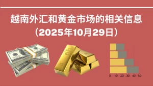 越南外汇和黄金市场的相关信息【图表新闻】