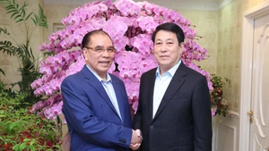 越南国家主席梁强向前越共中央总书记农德孟拜年。