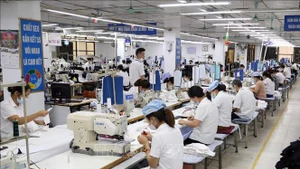 附图。（图片来源：越通社）