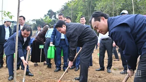 梁强主席与各位代表植树。