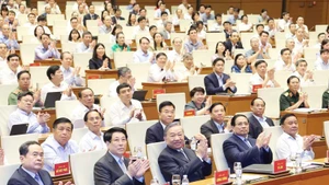 苏林总书记和各位领导代表出席会议。（图片来源：越通社）