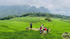 越南旅游业向绿色可持续方向转型。（图片来源：越通社）