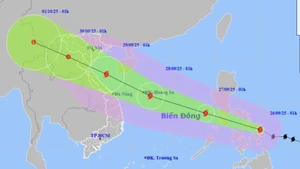 受第10号台风“博罗依”的影响 东海北部和中部海域将出现强风大浪。（图片来源：越通社）
