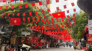 河内多条街道在“九·二”国庆节期间张灯结彩、焕然一新。（图片来源：越通社）