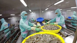 2025年越南水产品出口创下113亿美元新纪录【视频】