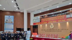 '在党的光荣旗帜下：越南革新40年回顾与奋发图强纪元愿景'的专题展开幕仪式。