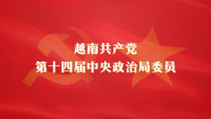 越南共产党第十四届中央政治局委员名单【图表新闻】
