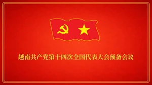 越南共产党第十四次全国代表大会预备会议【图表新闻】